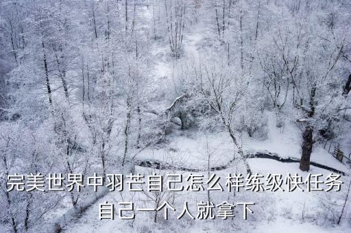 完美世界手游羽芒任务怎么完成，完美世界里羽芒任务中在哪接开通组龙城传送点的任务啊急来高手说