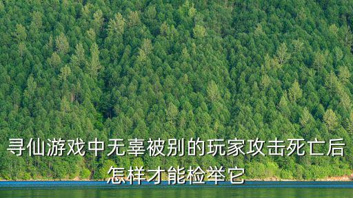 寻仙游戏中无辜被别的玩家攻击死亡后怎样才能检举它