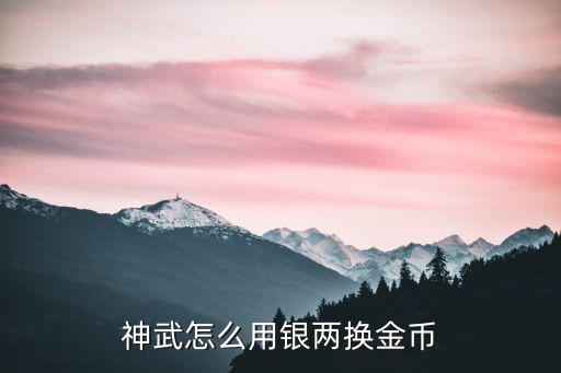 神武怎么用银两换金币