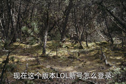 lol手游新号怎么登陆，英雄联盟怎么登陆注册账号