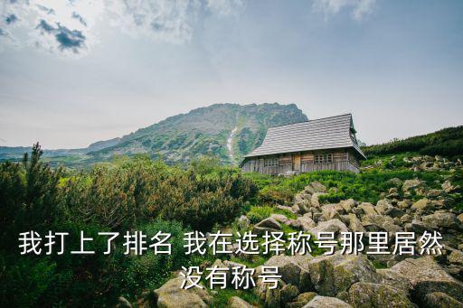 我打上了排名 我在选择称号那里居然没有称号