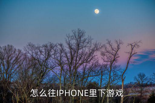 怎么往IPHONE里下游戏