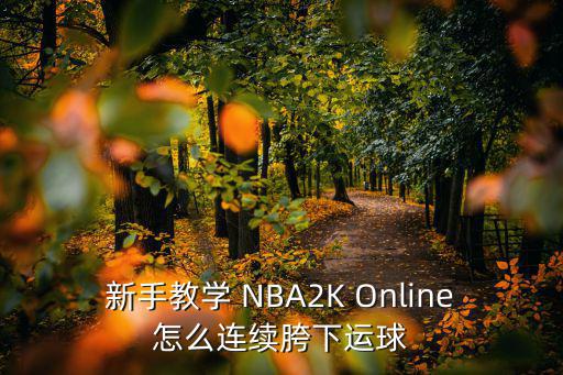 新手教学 NBA2K Online怎么连续胯下运球