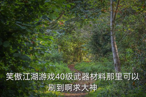 笑傲江湖游戏40级武器材料那里可以刷到啊求大神