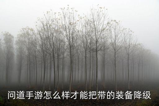 问道手游怎么样才能把带的装备降级