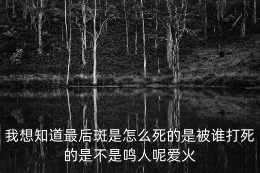 我想知道最后斑是怎么死的是被谁打死的是不是鸣人呢爱火