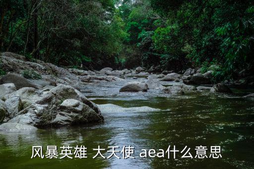 风暴英雄 大天使 aea什么意思