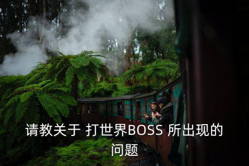 请教关于 打世界BOSS 所出现的问题