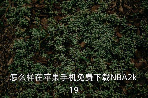 怎么样在苹果手机免费下载NBA2k19