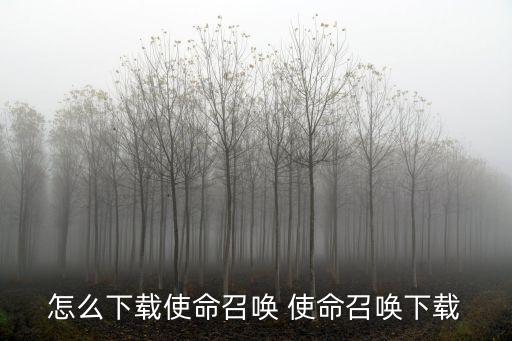 刚出的使命召唤手游怎么下载，怎么下载使命召唤 使命召唤下载