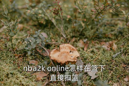 nba2k online怎样在篮下直接扣篮