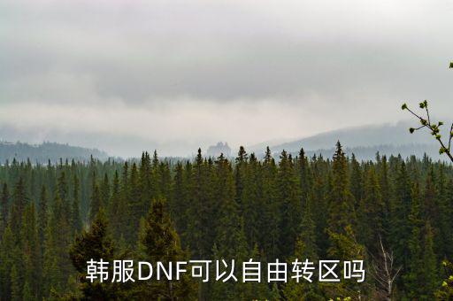 韩服DNF可以自由转区吗