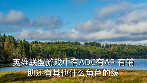 英雄联盟游戏中有ADC有AP 有辅助还有其他什么角色的线