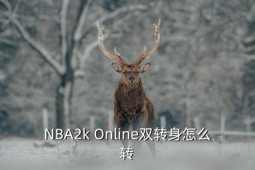 NBA2k Online双转身怎么转