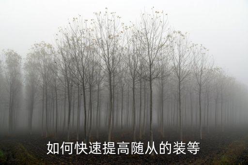 火影忍者手游随从怎么提升，如何快速提高随从的装等