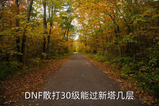 DNF散打30级能过新塔几层