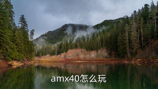 amx40怎么玩