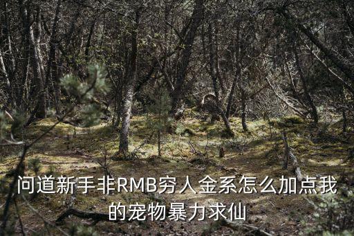 问道新手非RMB穷人金系怎么加点我的宠物暴力求仙