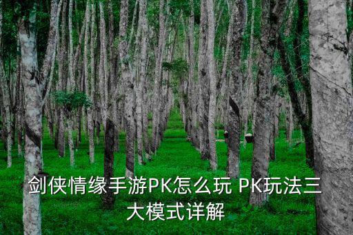 剑侠情缘手游白果怎么打，剑侠情缘手游PK怎么玩 PK玩法三大模式详解