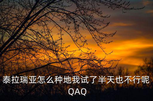 泰拉瑞亚怎么种地我试了半天也不行呢 QAQ