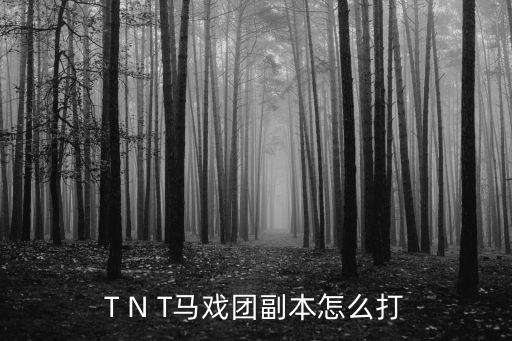 T N T马戏团副本怎么打