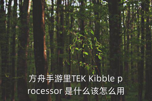 方舟手游里TEK Kibble processor 是什么该怎么用