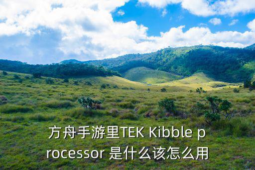 方舟手游里TEK Kibble processor 是什么该怎么用