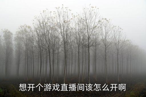 想开个游戏直播间该怎么开啊