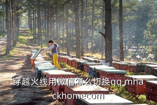 穿越火线用微信怎么切换qq mhackhomecom