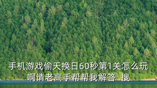 手机游戏偷天换日60秒第1关怎么玩啊请老高手帮帮我解答  搜