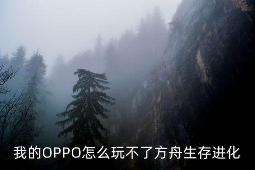 我的OPPO怎么玩不了方舟生存进化