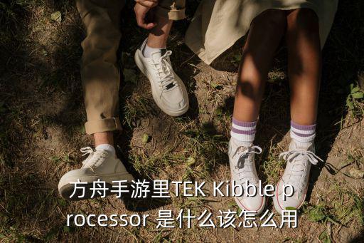 方舟手游里TEK Kibble processor 是什么该怎么用