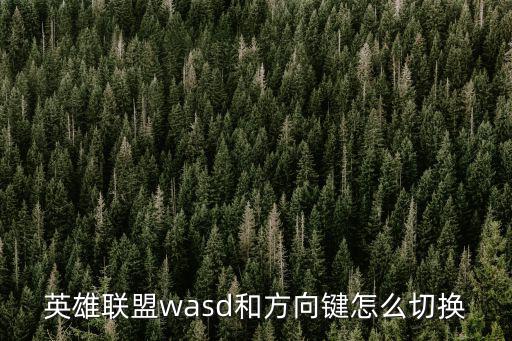 英雄联盟wasd和方向键怎么切换