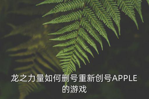 龙之力量如何删号重新创号APPLE的游戏