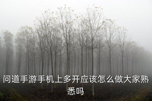 vivo玩问道手游怎么多开，问道手游怎么样才能一台手机开两个号