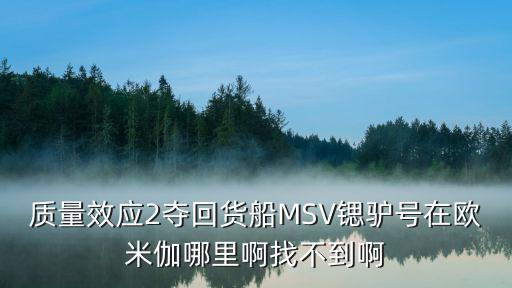 质量效应2夺回货船MSV锶驴号在欧米伽哪里啊找不到啊