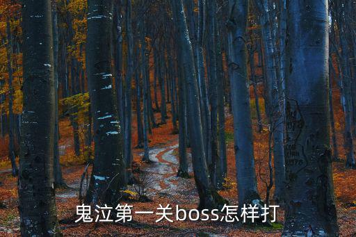 鬼泣第一关boss怎样打