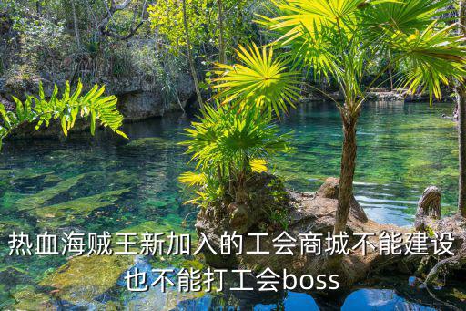 热血海贼王新加入的工会商城不能建设也不能打工会boss