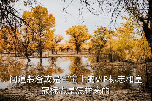 问道装备或是宝宝上的VIP标志和皇冠标志是怎样来的