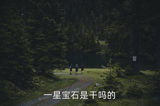 一星宝石是干吗的