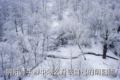 阴阳师手游中怎么升级自己的阴阳师