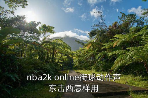 nba2k online街球动作声东击西怎样用