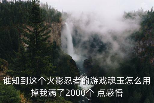 谁知到这个火影忍者的游戏魂玉怎么用掉我满了2000个 点感悟