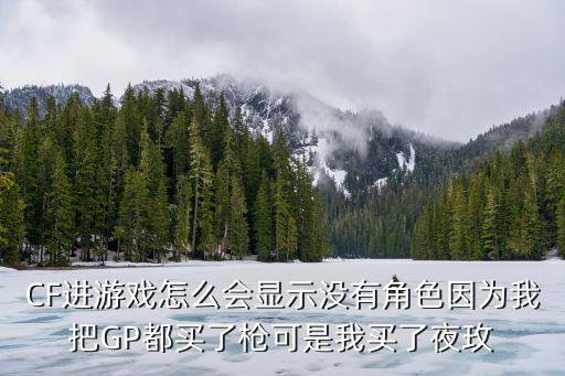 CF进游戏怎么会显示没有角色因为我把GP都买了枪可是我买了夜玫