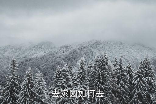 镇魔曲手游怎么去家园，怎么去家园