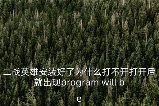 二战英雄安装好了为什么打不开打开后就出现program will be