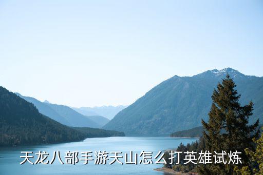 天龙八部手游天山怎么打英雄试炼