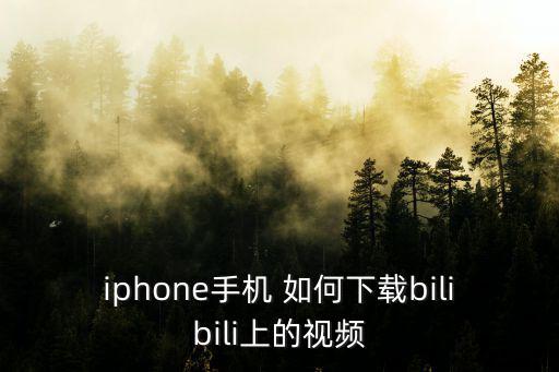 iphone手机 如何下载bilibili上的视频