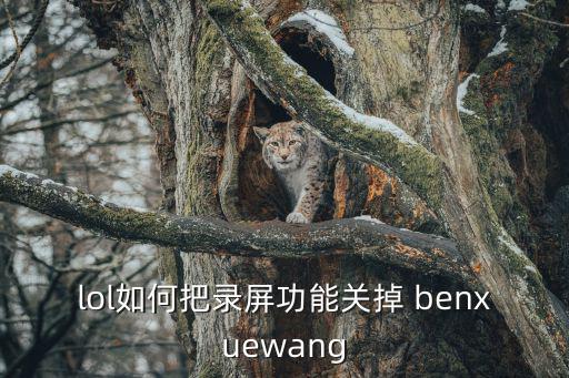 lol如何把录屏功能关掉 benxuewang