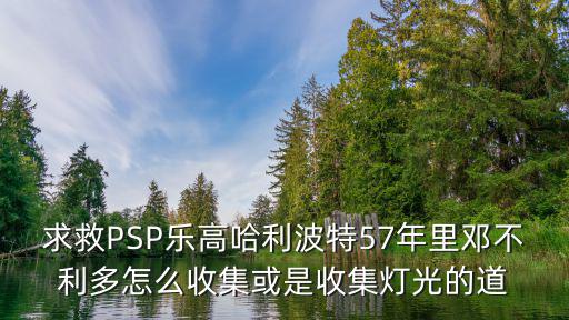 求救PSP乐高哈利波特57年里邓不利多怎么收集或是收集灯光的道